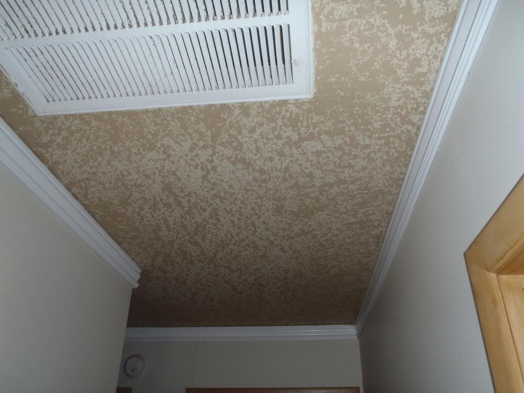 How can I make colored spackle... Page 4 Professional Painting